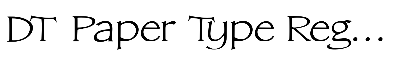 DT Paper Type Regular